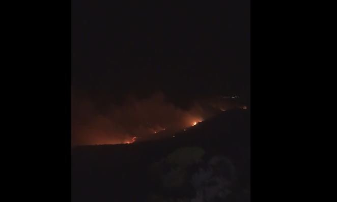 Εικόνα από τη φωτιά στην περιοχή του Ελειού/ Φωτογραφία: inkefalonia.gr