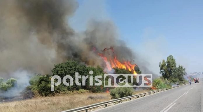 Φωτιά κοντά στην Εθνική Οδό Πατρών - Πύργου