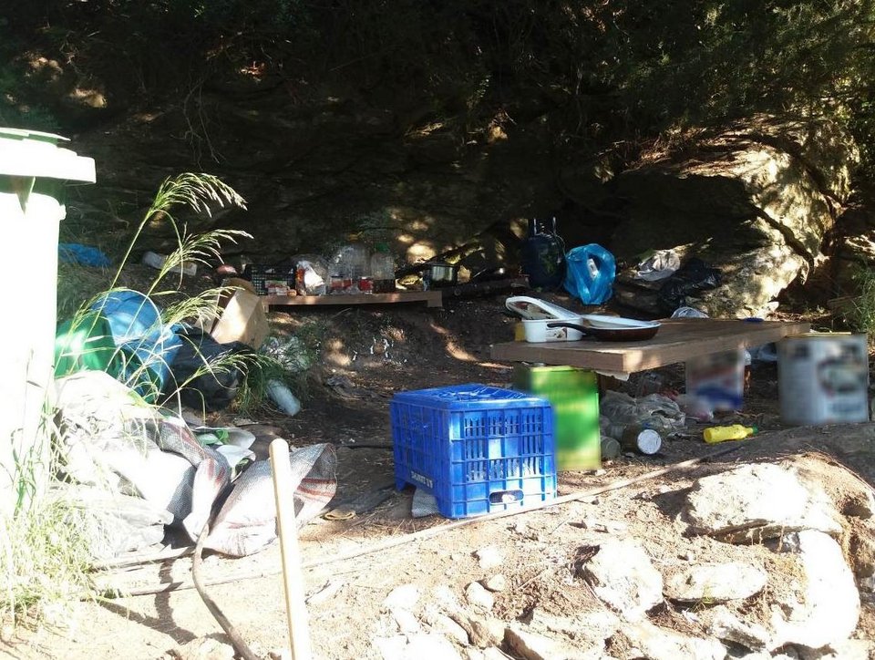 Εκριζώθηκαν και κατασχέθηκαν -2.310- δενδρύλλια κάνναβης