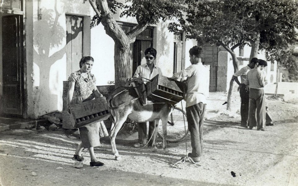 γαιδουρια