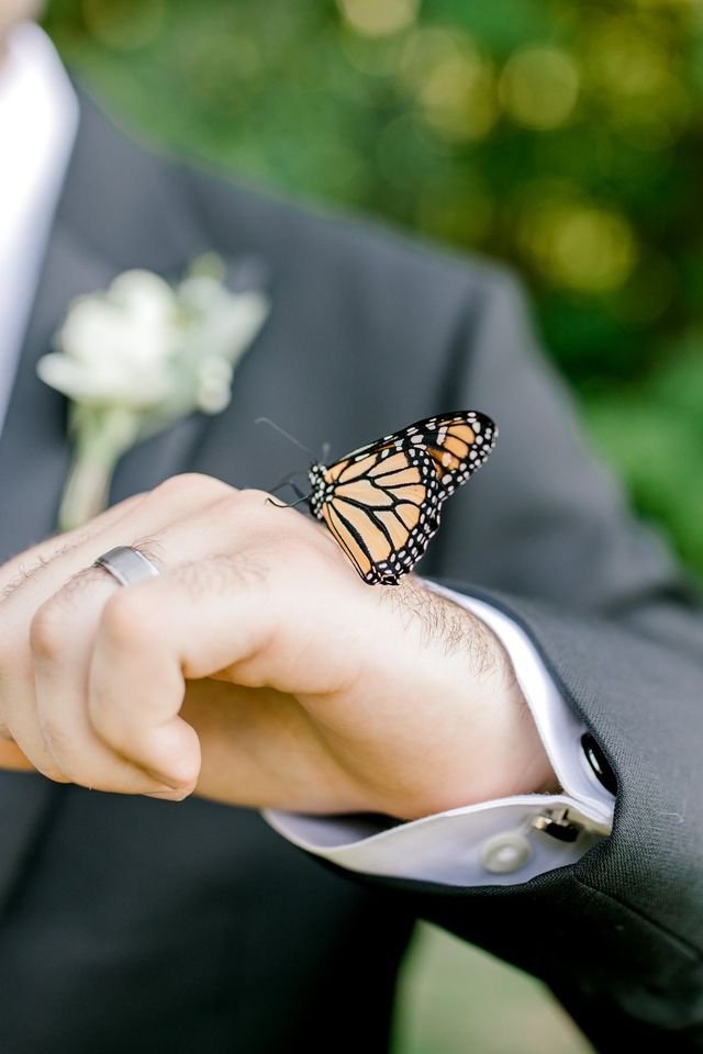 Η πεταλούδα βεβαίως δεν έκανε διακρίσεις και κάθισε και στο χέρι του γαμπρού