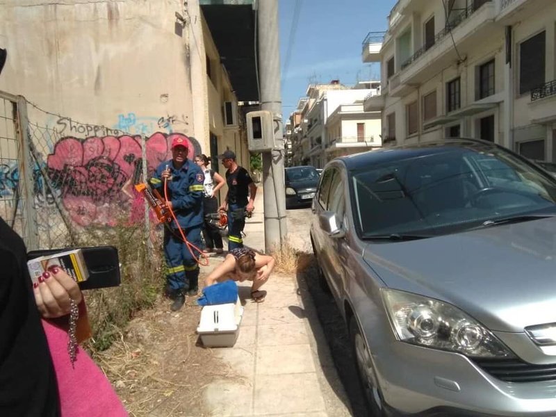 Πυροσβέστες επιχειρούν να απεγκλωβίσουν τη γάτα