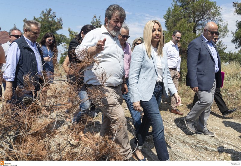 Η Φώφη Γεννηματά στο δάσος του Σέιχ Σου
