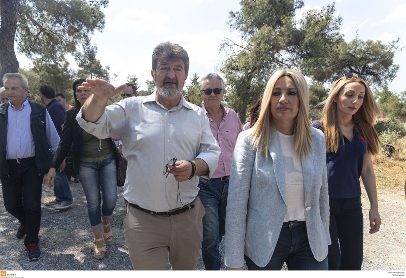 H Φώφη Γεννηματά παρέλαβε φάκελο με όλα τα στοιχεία για το θέμα