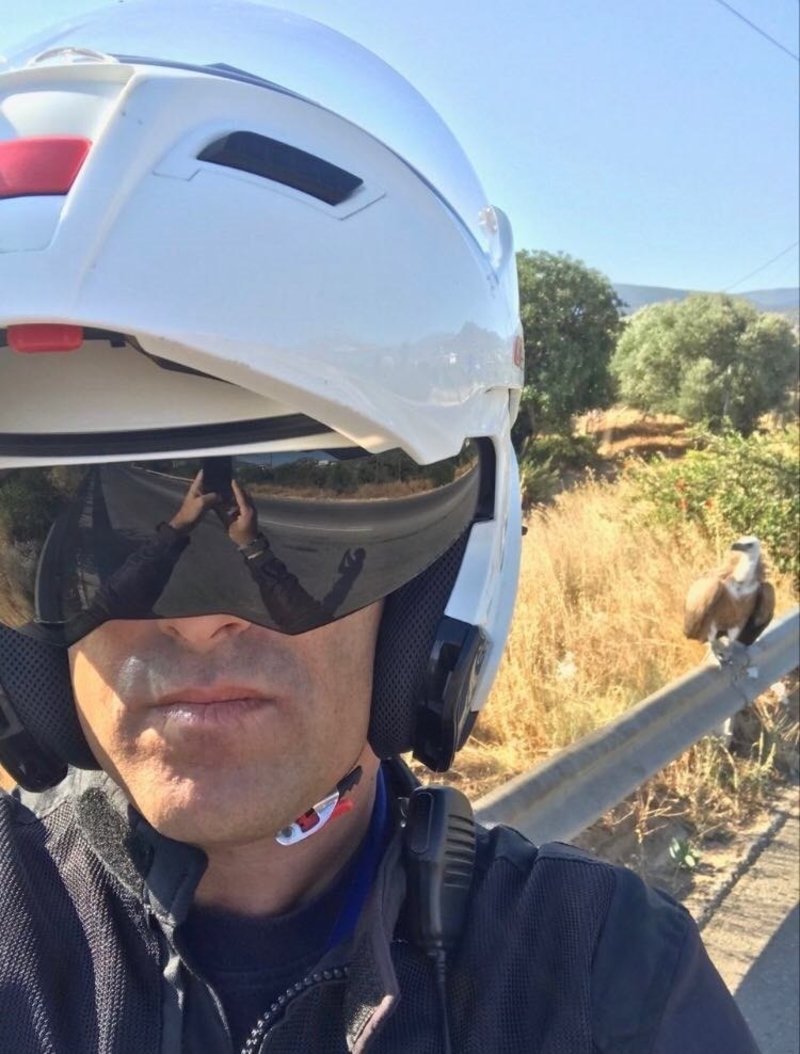 Αστυνομικός της τροχαίας με τον παραβάτη… γυπαετό!
