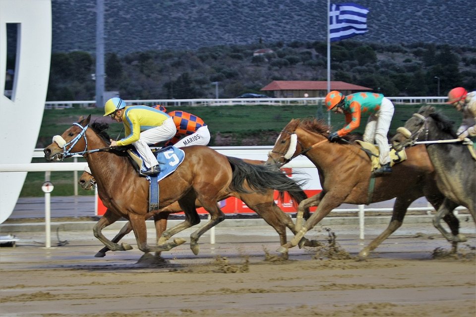 Συναρπαστικές αφίξεις στο Markopoulo Park
