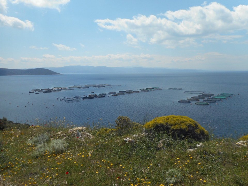 Η Ελλάδα μπαίνει στο χάρτη της υπεύθυνης υδατοκαλλιέργειας