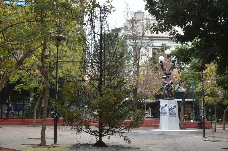 στάχτη το χριστουγεννιάτικο δέντρο