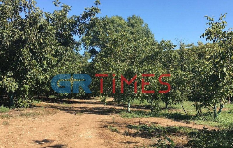 Το κτήμα του Βασίλη Καρρά στην Καβάλα