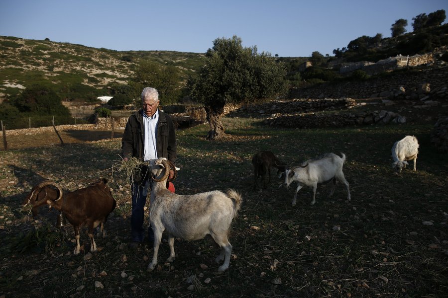 κατσικια