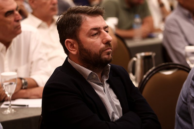 Ο Νίκος Ανδρουλάκης στην ΚΕ του ΚΙΝΑΛ