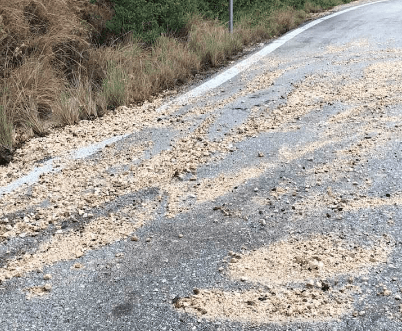 Πέτρες στο δρόμο λόγω της σφοδρής βροχόπτωσης -Φωτογραφία: Facebook/Thanasis Livitsanis