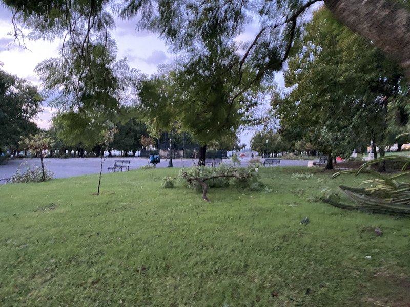 Κέρκυρα ξεριζωμένα δέντρα μετά από κακοκαιρία