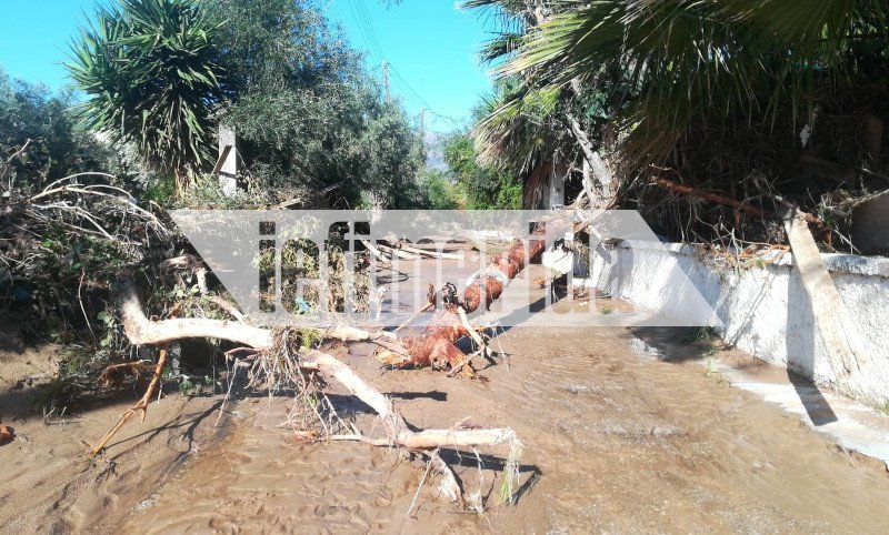 Κορμοί δέντρων έκλεισαν τους δρόμους στην Κινέτα