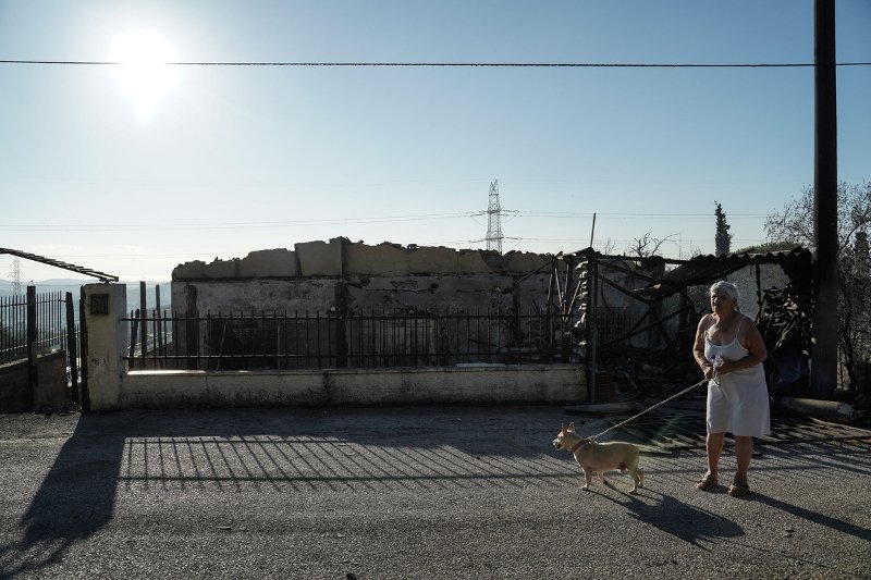 Κυρία κυκλοφορεί το πρωί με το σκυλάκι της στα καμμένα