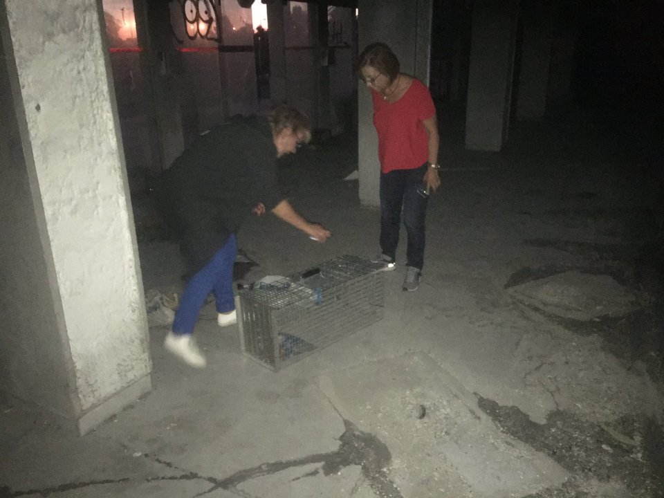 γυναικες κλουβι