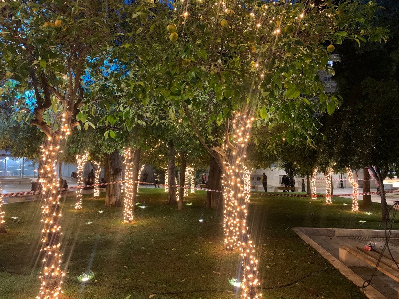 Φωτάκια έχουν τοποθετηθεί σε όλους τους κορμούς των δέντρων που περιβάλλουν την πλατεία Συντάγματος, κάνοντας ακόμη πιο ζεστή την ατμόσφαιρα
