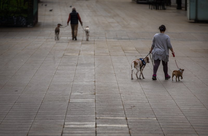 Οι κάτοικοι της Ισπανίας επιτρέπεται να βγάλουν βόλτα τον σκύλο τους/Φωτογραφία: AP
