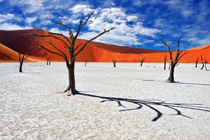 Dead Vlei ένα από τα πιο συναρπαστικά μέρη στη Ναμίμπια.