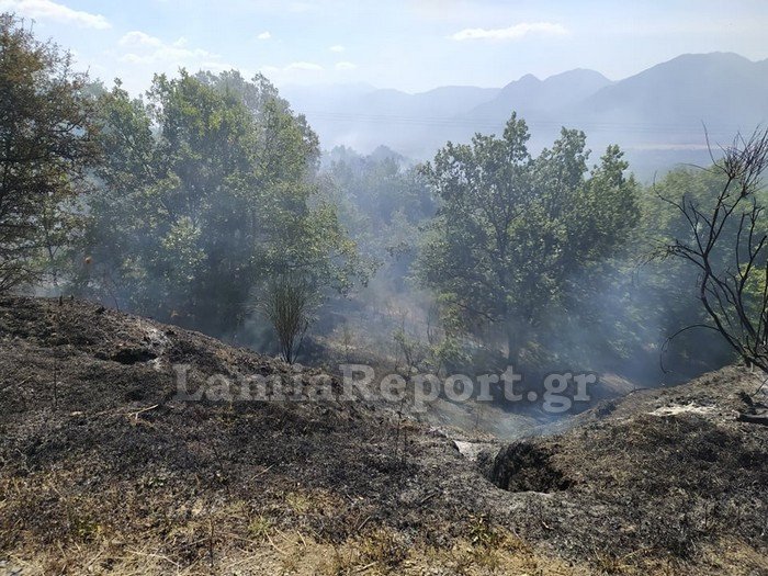 Πυρκαγιά στον Γοργοπόταμο / Φωτογραφία: lamiareport.gr