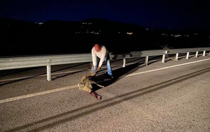 Φωτογραφία: LamiaReport