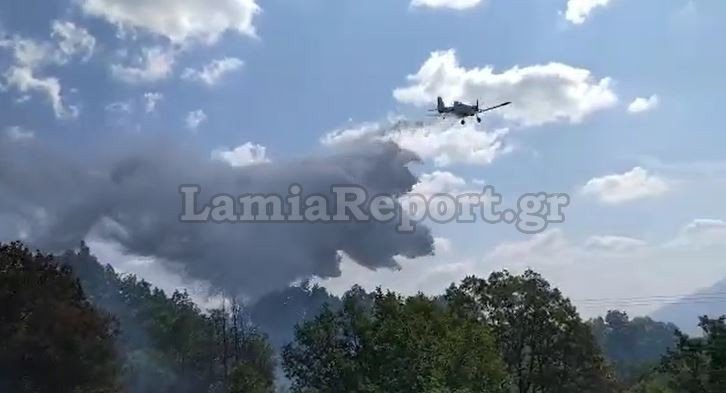 Πυρκαγιά στον Γοργοπόταμο / Φωτογραφία: lamiareport.gr