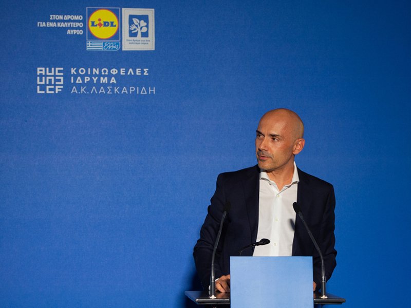 Ιάκωβος Ανδρεανίδης, Πρόεδρος Διοίκησης Lidl Ελλάς