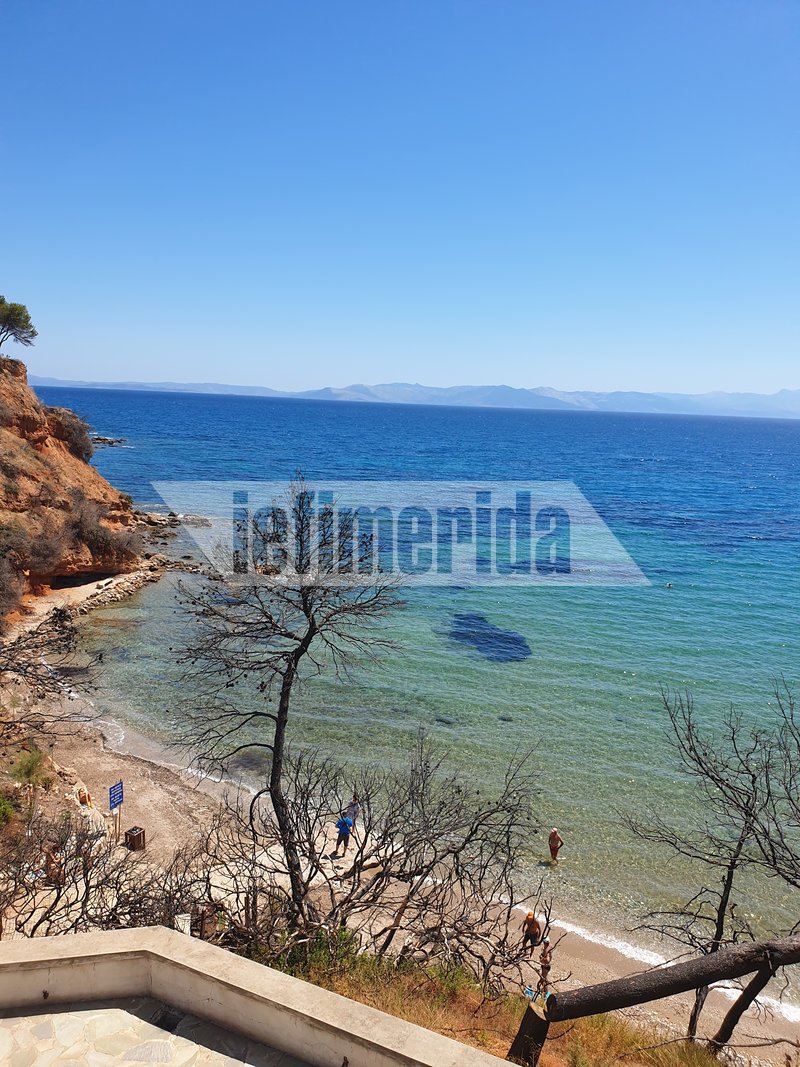 Αδεια η παραλία στο Μάτι -Τα καμμένα δέντρα θυμίζουν την τραγωδία
