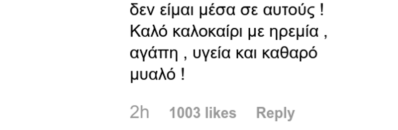 Η απάντηση της Ελένης Μενεγάκη σε follower / Φωτογραφία: Instagram
