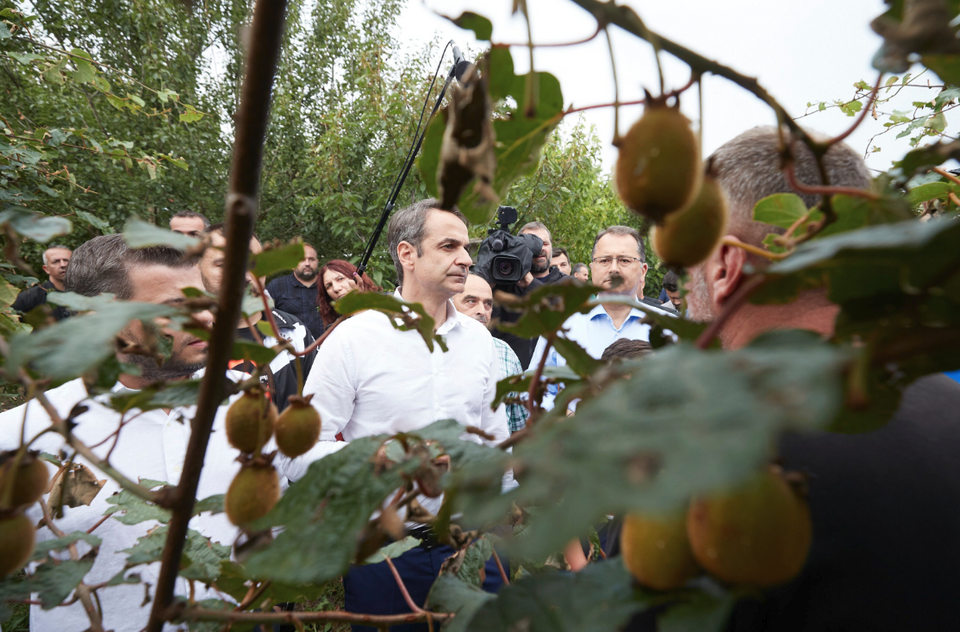 Ο Κυριάκος Μητσοτάκης επισκέφθηκε φυτείες ακτινιδίου