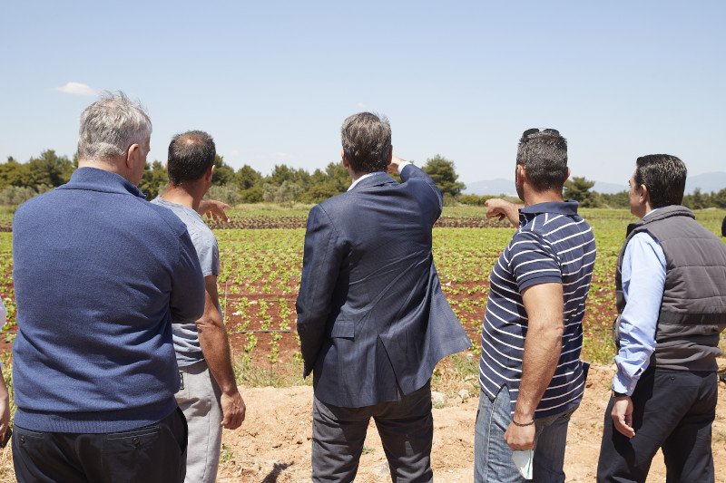 Επίσκεψη του Κυριάκου Μητσοτάκη σε αγρόκτημα στον Αυλώνα Αττικής