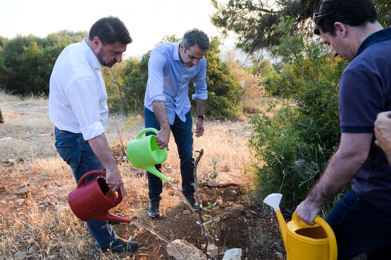 Ο Κυριάκος Μητσοτάκης ποτίζει ένα φρεσκοφυτεμένο δέντρο