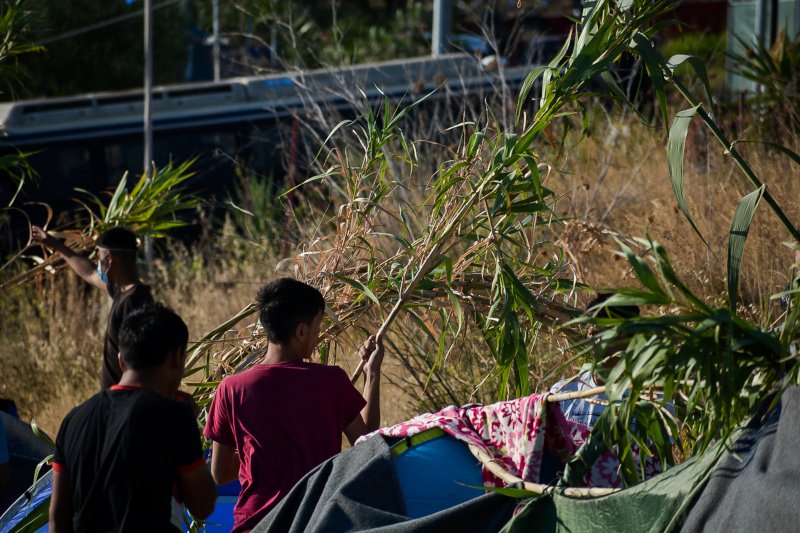 Μόρια πρόσφυγες και μετανάστες κατασκευάζουν σκηνές από καλάμια