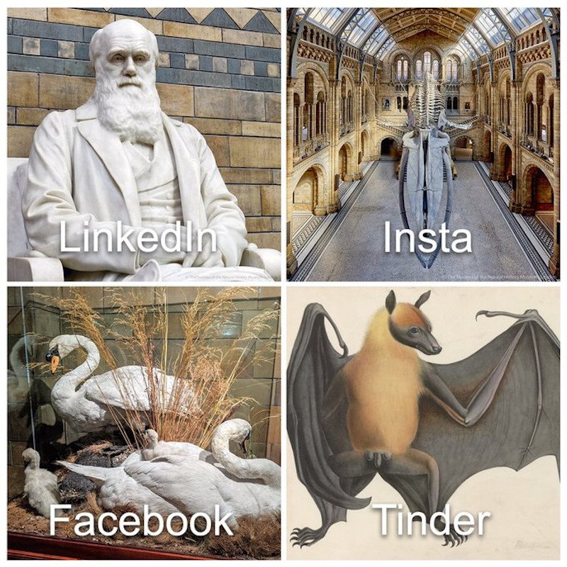 Το meme του Μουσείου Φυσικής Ιστορίας