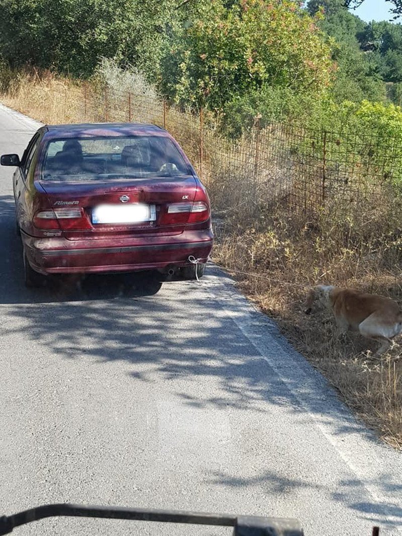 Οδηγός κτήνος σέρνει τον σκύλο του με το αυτοκίνητο