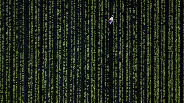 Το χαρακτηριστικό Matrix σε οθόνη υπολογιστή