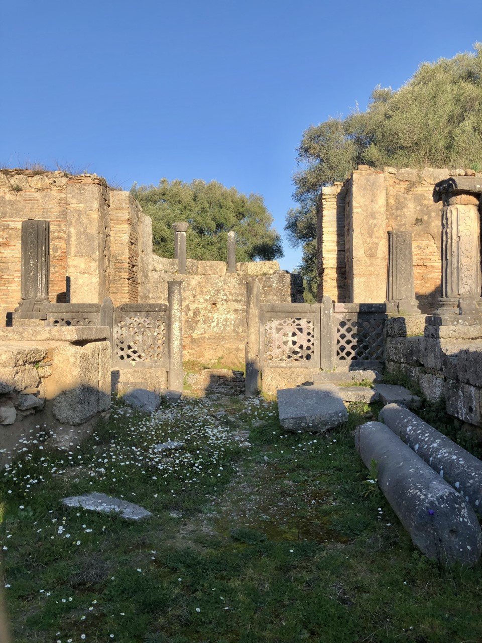 ολυμπια