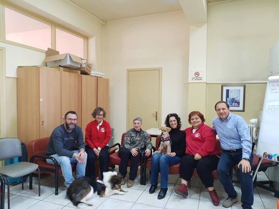 ομαδα σκυλια