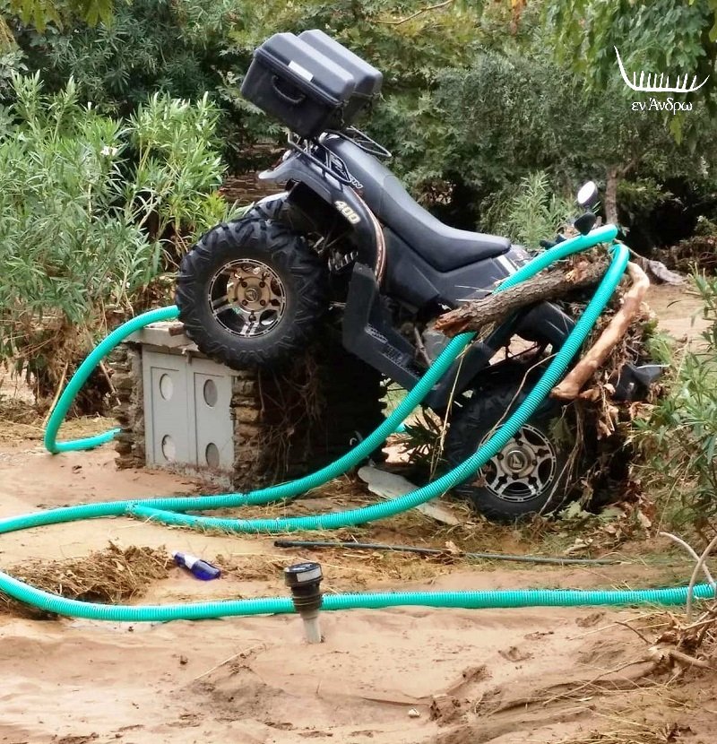 γουρούνα λάσπη