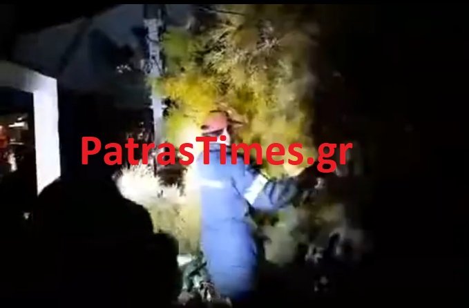 Το δέντρο που έπεσε στα Ψηλά Αλώνια της Πάτρας