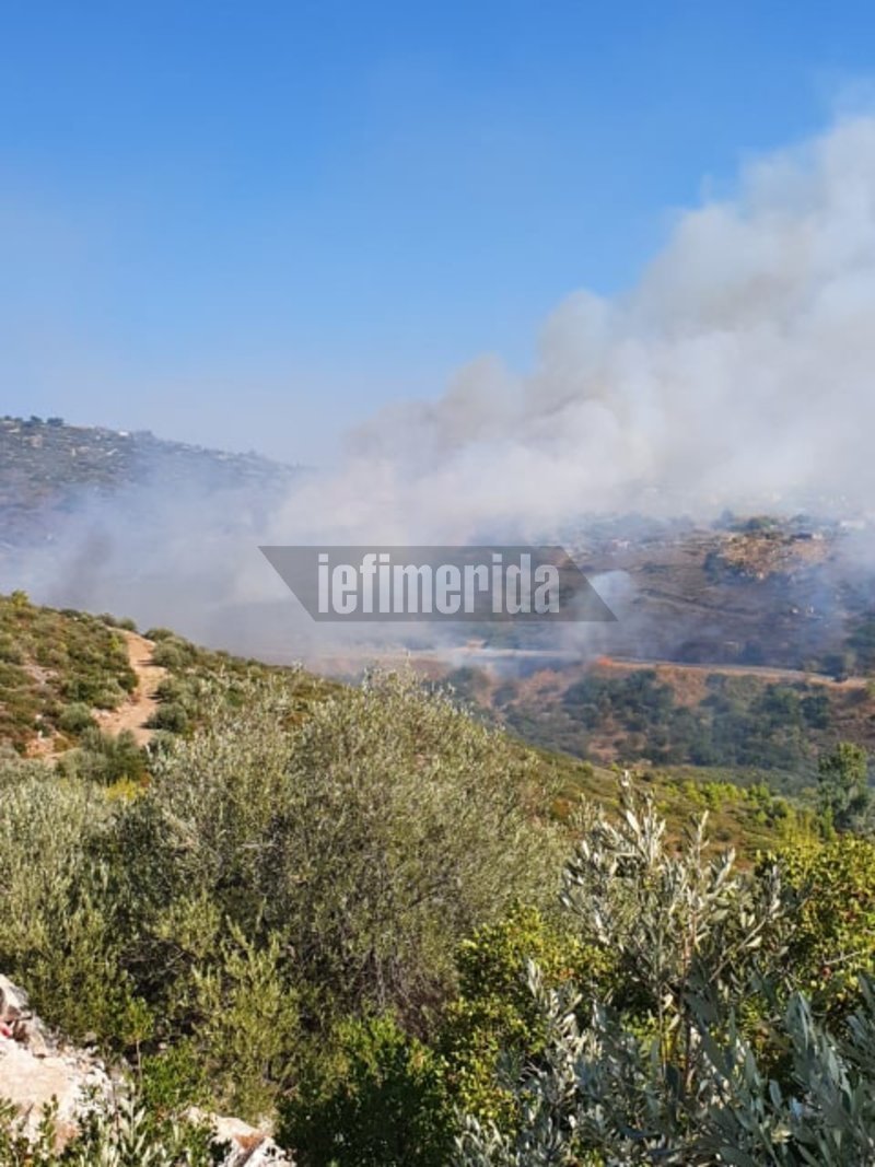 φωτιά πεντέλη