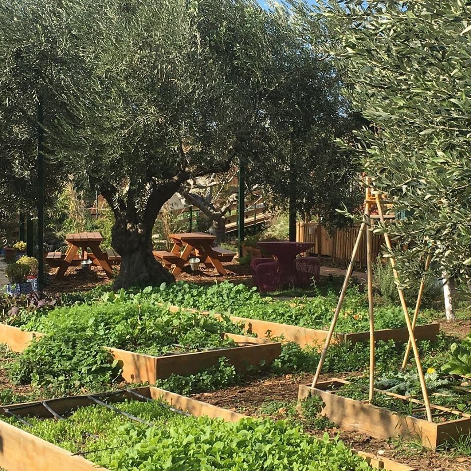 Φωτογραφία: Facebook Το Περιβόλι στη Βάρη @PerivoliVari
