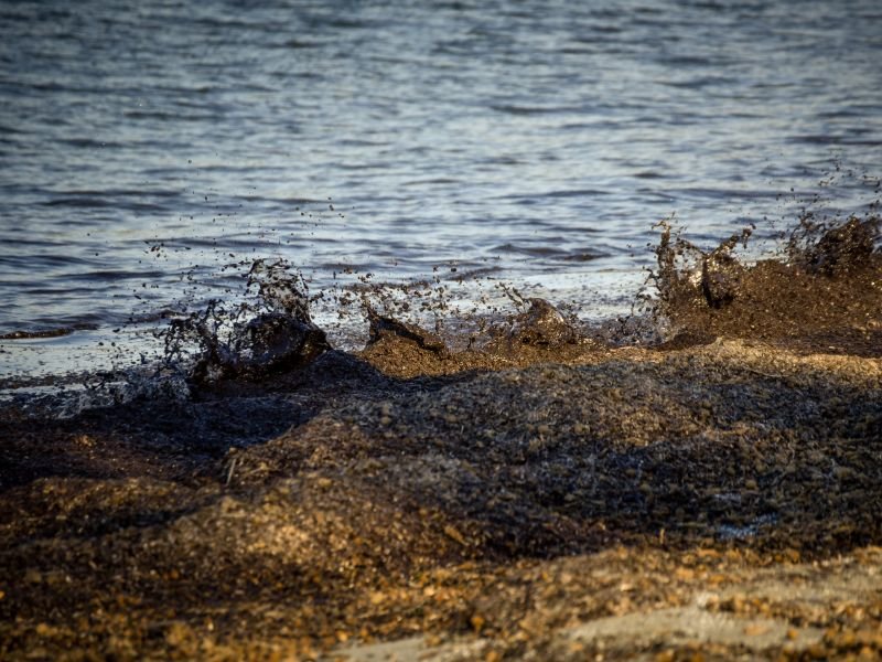 Στην Πρέβεζα τα κύματα έβγαλαν στη στεριά τα φύκια