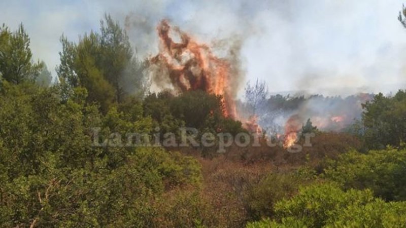 Φωτογραφία από την πυρκαγιά στο Μαρτίνο
