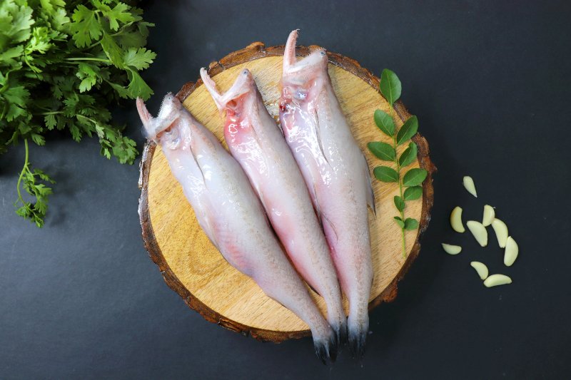 τα ψάρια Mombay duck