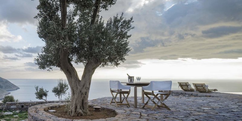 Καρέκλες και τραπέζι δίπλα σε μια ελιά