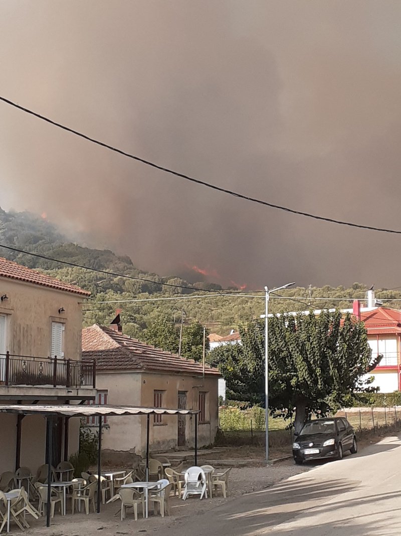 Πυκνοί καπνοί και διακριτό μέτωπο της φωτιάς στην Ηλεία/ Φωτογραφία: iefimerida