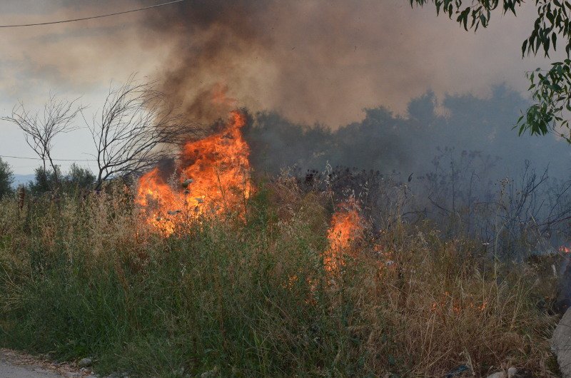 Πυρκαγιά από κεραυνό στον στον δήμο Αργους Μυκηνών -Φωτογραφία: EUROKINISSI