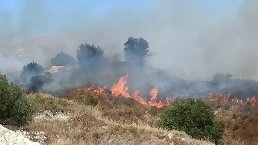 Φωτιά σε δασική έκταση στην Κουνόπετρα