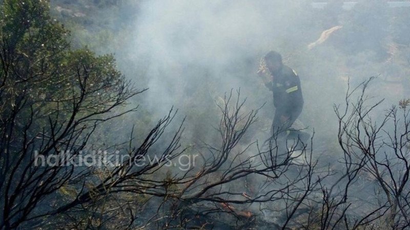 Φωτιά στη Βουρβουρού Χαλκιδικής / Φωτογραφία: halkidikinews.gr